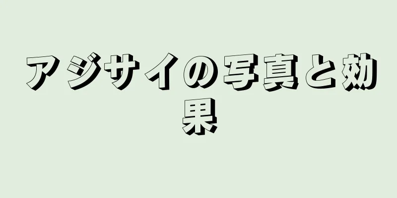 アジサイの写真と効果