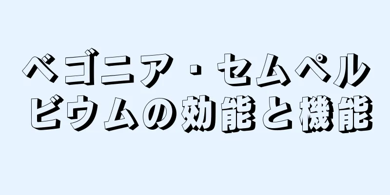 ベゴニア・セムペルビウムの効能と機能