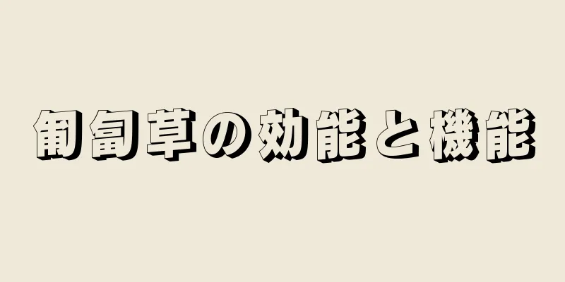 匍匐草の効能と機能