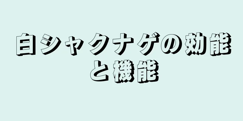 白シャクナゲの効能と機能