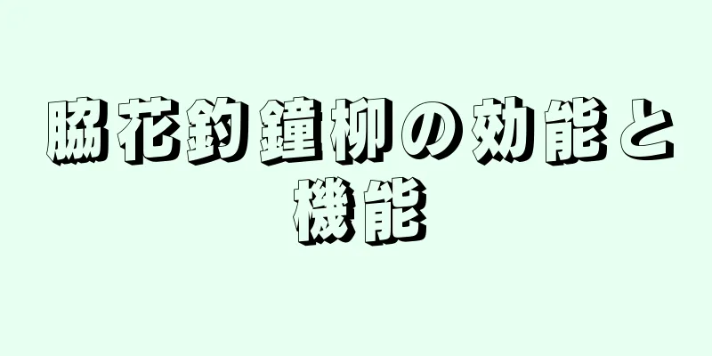 脇花釣鐘柳の効能と機能
