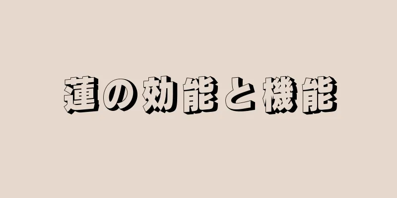 蓮の効能と機能