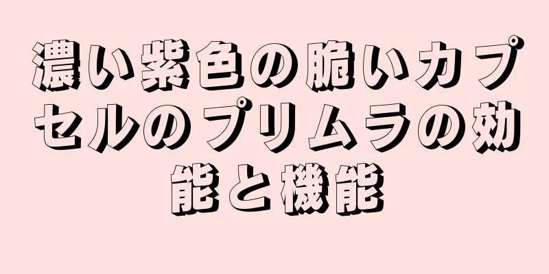 濃い紫色の脆いカプセルのプリムラの効能と機能