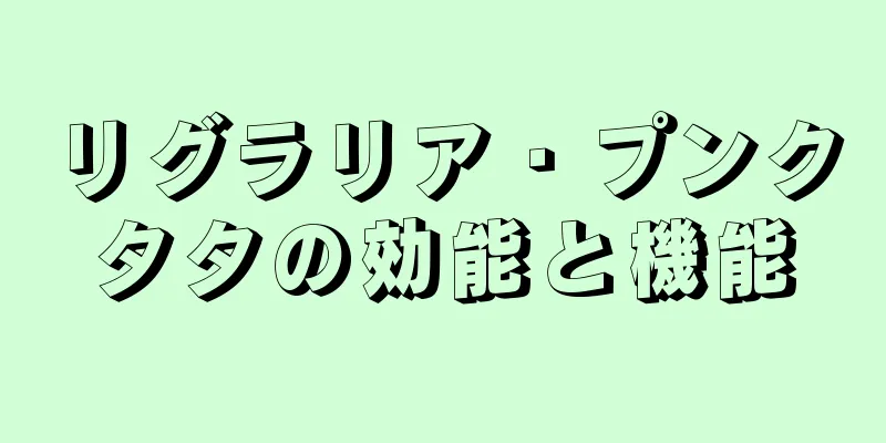 リグラリア・プンクタタの効能と機能