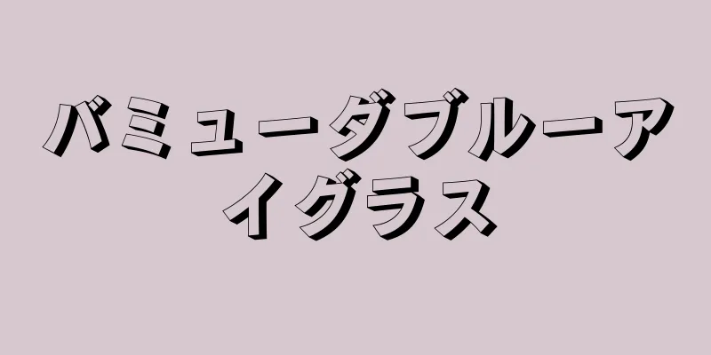 バミューダブルーアイグラス