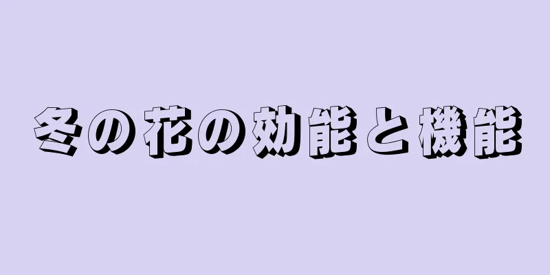 冬の花の効能と機能