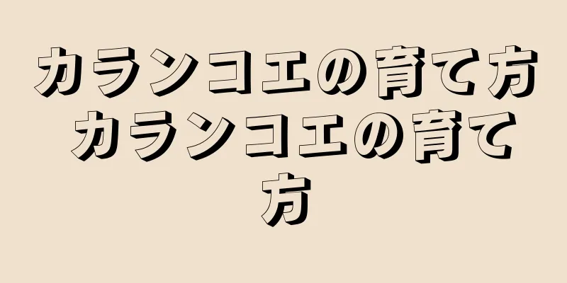 カランコエの育て方 カランコエの育て方