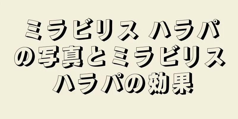 ミラビリス ハラパの写真とミラビリス ハラパの効果