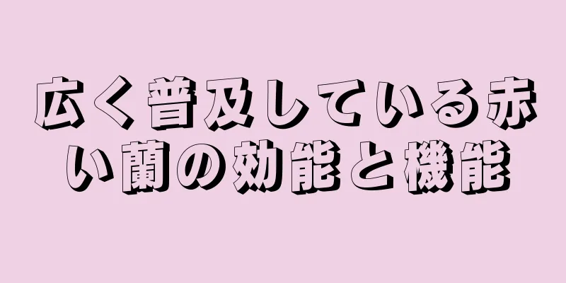 広く普及している赤い蘭の効能と機能