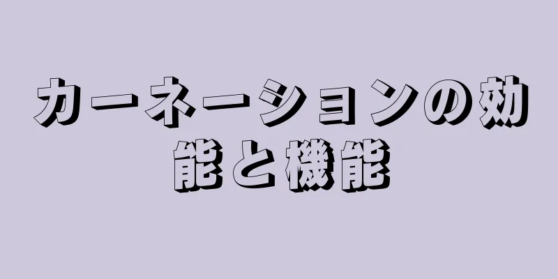 カーネーションの効能と機能