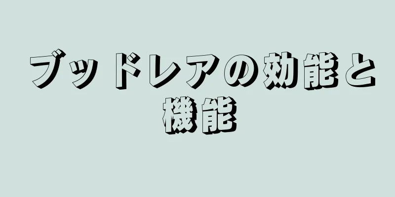 ブッドレアの効能と機能