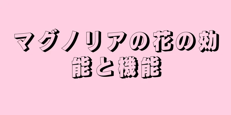 マグノリアの花の効能と機能