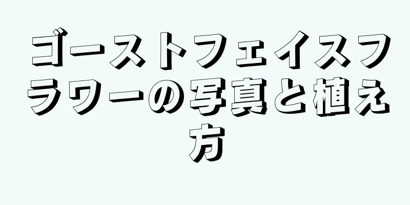 ゴーストフェイスフラワーの写真と植え方