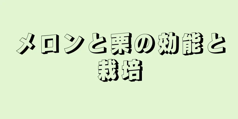 メロンと栗の効能と栽培