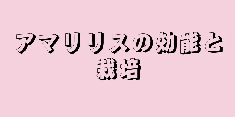 アマリリスの効能と栽培