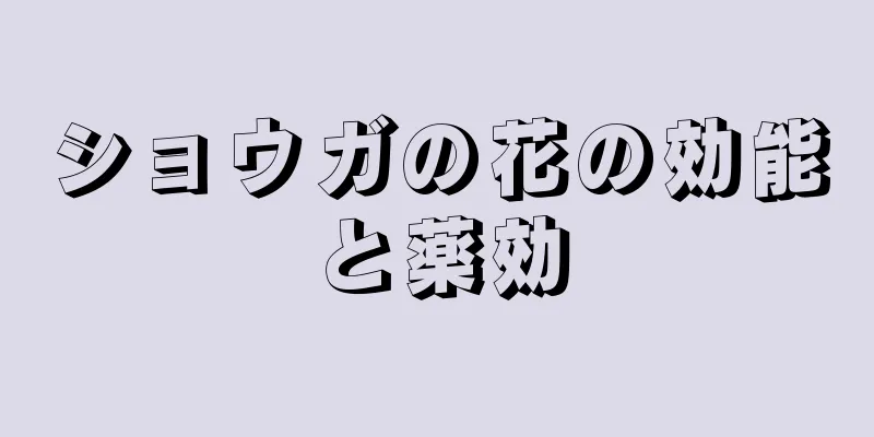 ショウガの花の効能と薬効