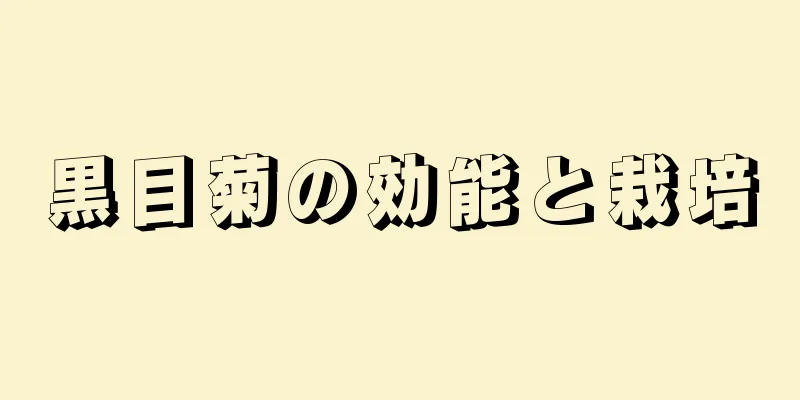 黒目菊の効能と栽培