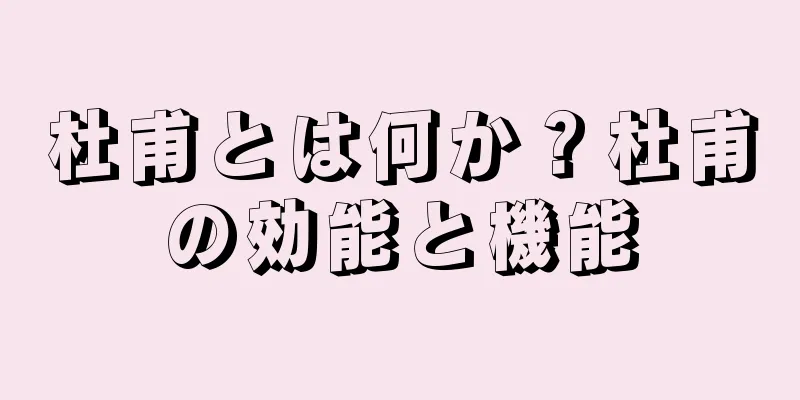 杜甫とは何か？杜甫の効能と機能