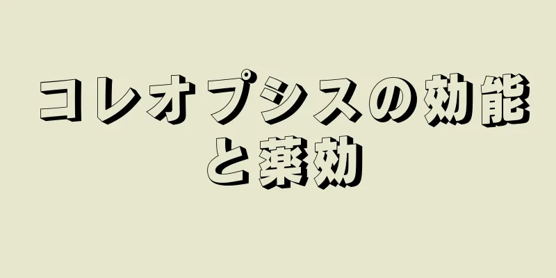 コレオプシスの効能と薬効
