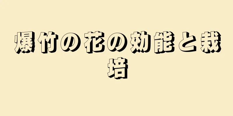 爆竹の花の効能と栽培