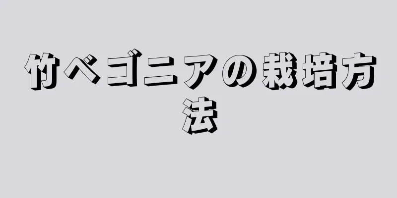 竹ベゴニアの栽培方法