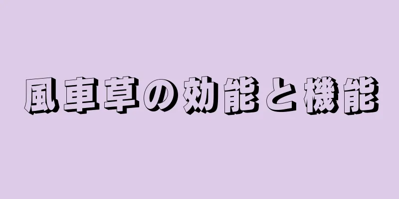 風車草の効能と機能