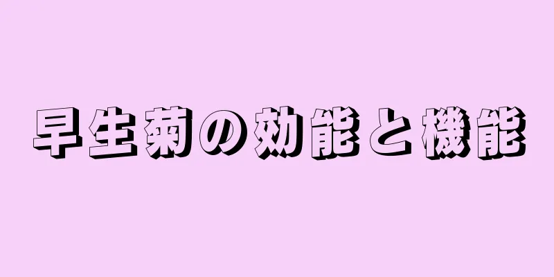 早生菊の効能と機能