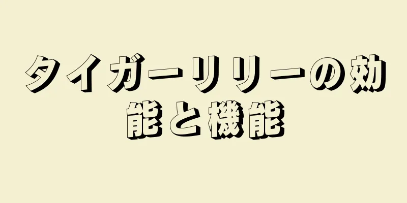 タイガーリリーの効能と機能