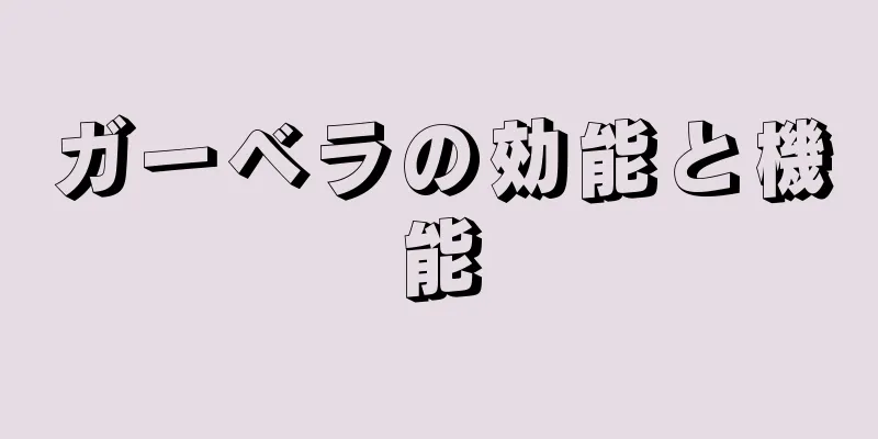 ガーベラの効能と機能