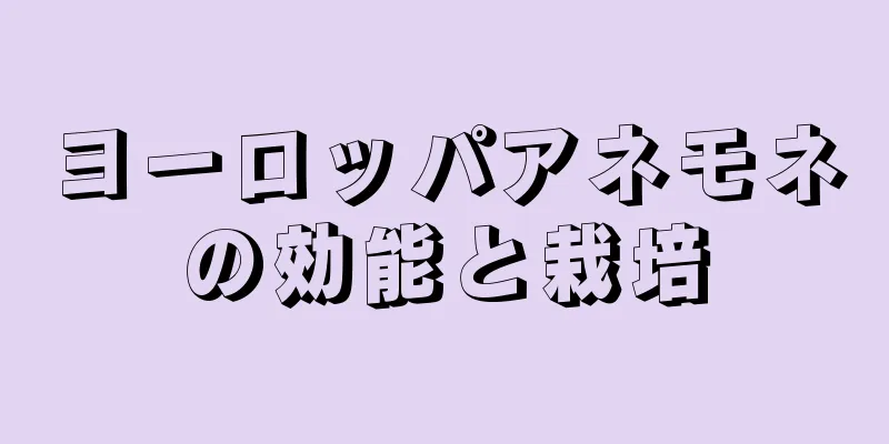 ヨーロッパアネモネの効能と栽培