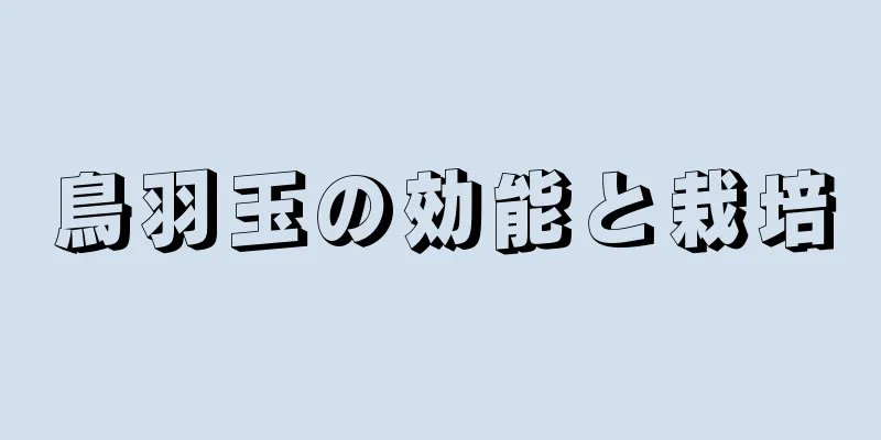 鳥羽玉の効能と栽培