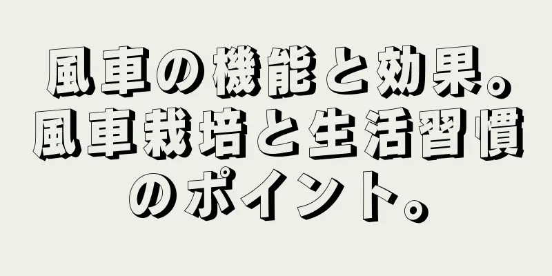 風車の機能と効果。風車栽培と生活習慣のポイント。