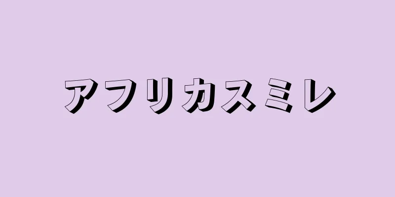 アフリカスミレ