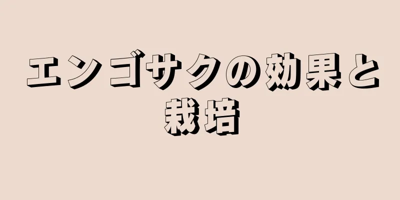 エンゴサクの効果と栽培
