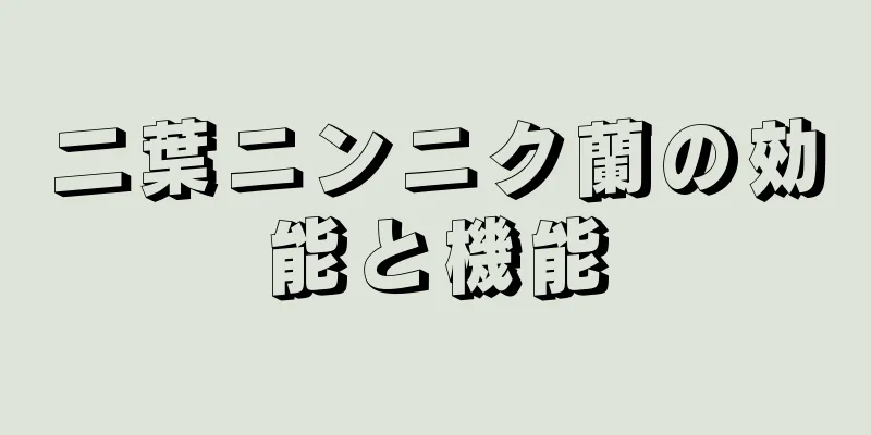 二葉ニンニク蘭の効能と機能