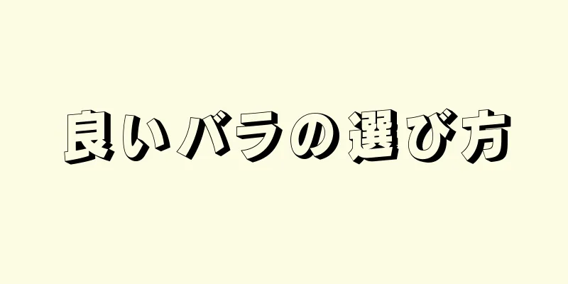 良いバラの選び方
