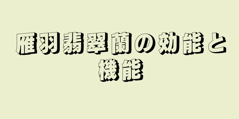 雁羽翡翠蘭の効能と機能