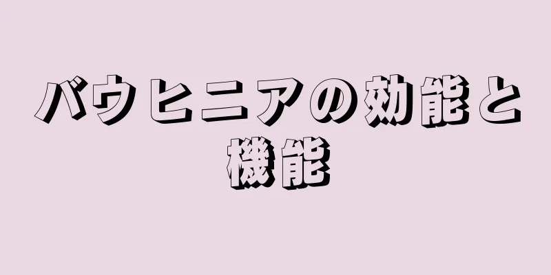 バウヒニアの効能と機能