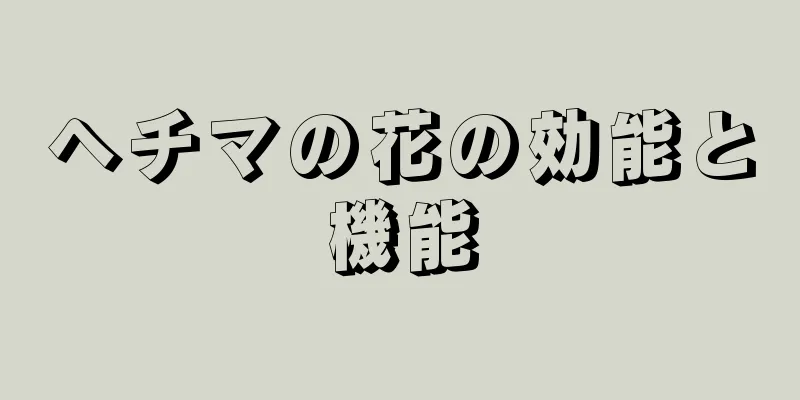 ヘチマの花の効能と機能