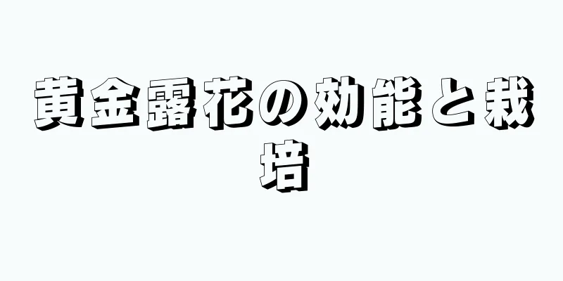 黄金露花の効能と栽培