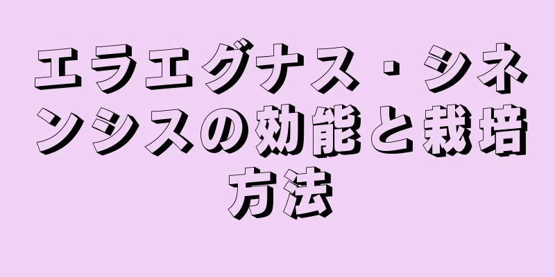 エラエグナス・シネンシスの効能と栽培方法
