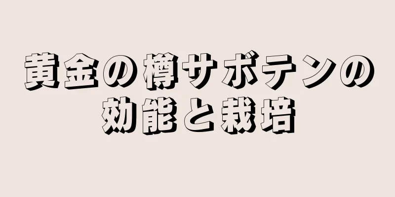 黄金の樽サボテンの効能と栽培