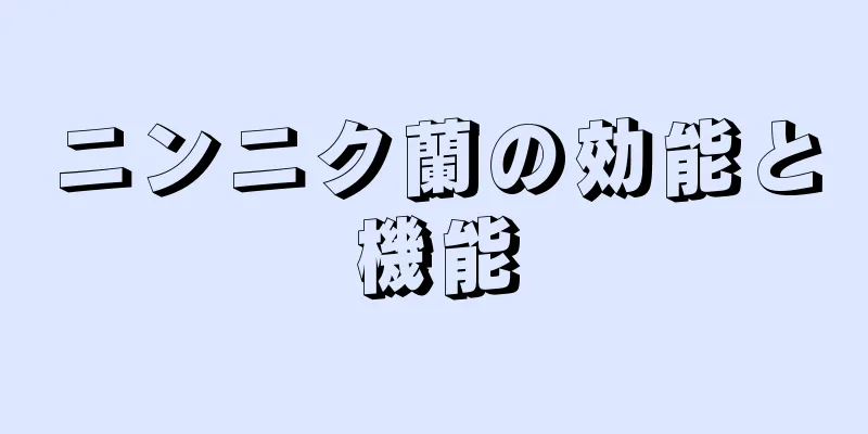 ニンニク蘭の効能と機能