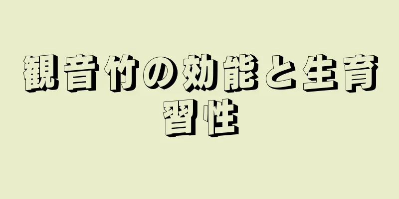 観音竹の効能と生育習性