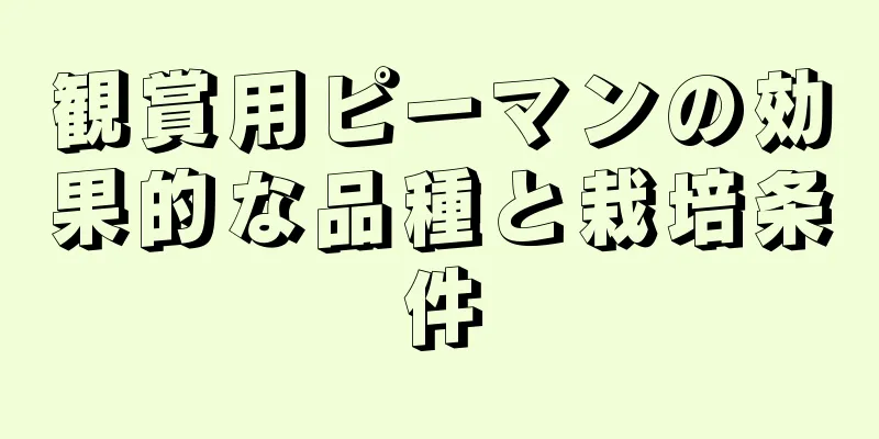 観賞用ピーマンの効果的な品種と栽培条件