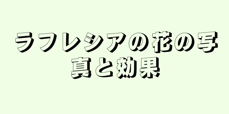 ラフレシアの花の写真と効果
