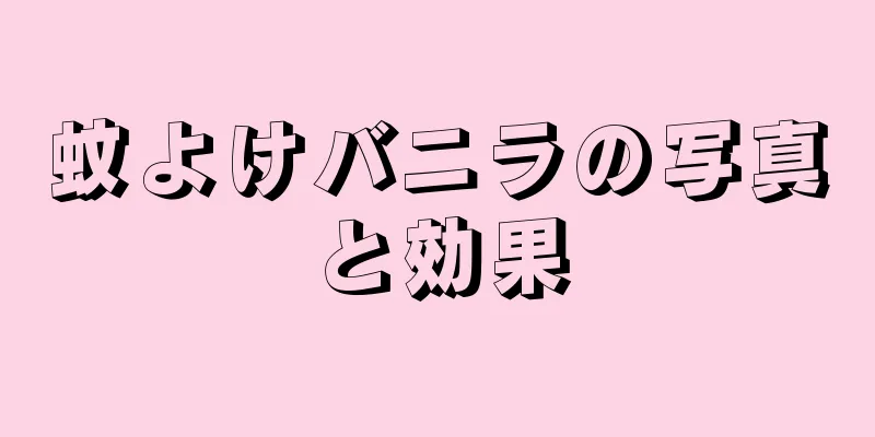 蚊よけバニラの写真と効果