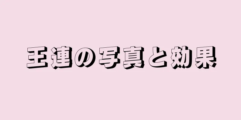 王連の写真と効果
