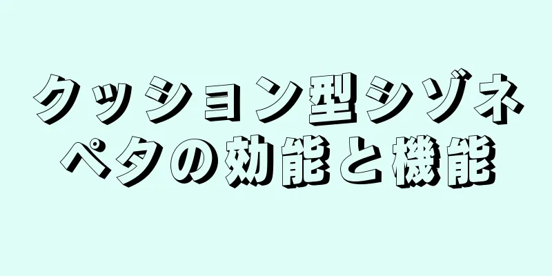 クッション型シゾネペタの効能と機能