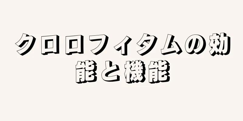 クロロフィタムの効能と機能